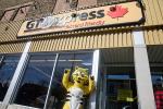 Friendly, the Giant Tiger, stands outside the Giant Tiger Hintonburg store, pointing up at the GT Express – Fast and Friendly sign. 